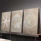 Coastal Sea Life Canvas Print Set – Beige Textured Starfish, Scallop & Nautilus Shell Wall Art for Beach House, Bathroom, Living Room & Modern Coastal Home Décor (Unframed)