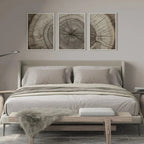 A modern bedroom scene featuring a bed dressed in neutral beige and white linens, with three framed wood-cross tree-ring wall art prints centered above the headboard. A light wood bench with a gray faux-fur throw sits at the foot of the bed, and bedside tables and a floor lamp are visible against a warm beige wall.