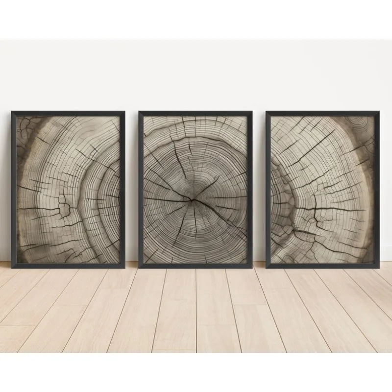 Three framed vertical wall art prints showing tree stump cross-sections in a natural wood grain pattern, displayed side-by-side on a light wood floor against a white wall.