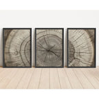 Three framed vertical wall art prints showing tree stump cross-sections in a natural wood grain pattern, displayed side-by-side on a light wood floor against a white wall.
