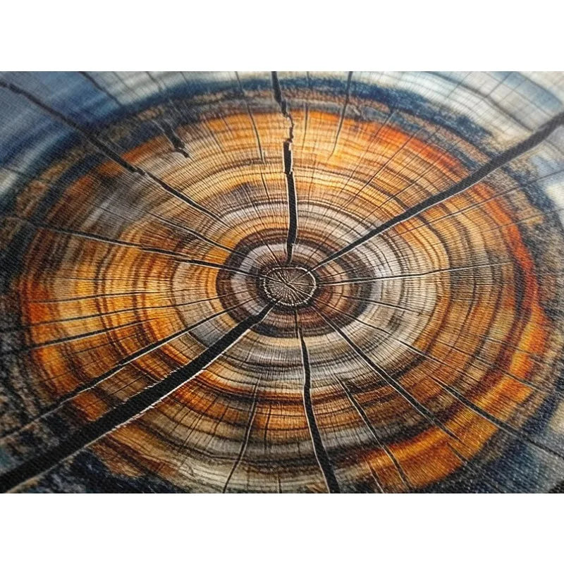 Modern Abstract Concentric Tree Rings Canvas Print Wall Art – Vibrant Colour Unframed Canvas Print Artwork for Contemporary Decor