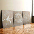 Coastal Sea Life Canvas Print Set – Beige Textured Starfish, Scallop & Nautilus Shell Wall Art for Beach House, Modern Coastal Home Décor