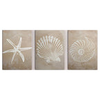 Coastal Sea Life Canvas Print Set – Beige Textured Starfish, Scallop & Nautilus Shell Wall Art for Beach House, Modern Coastal Home Décor